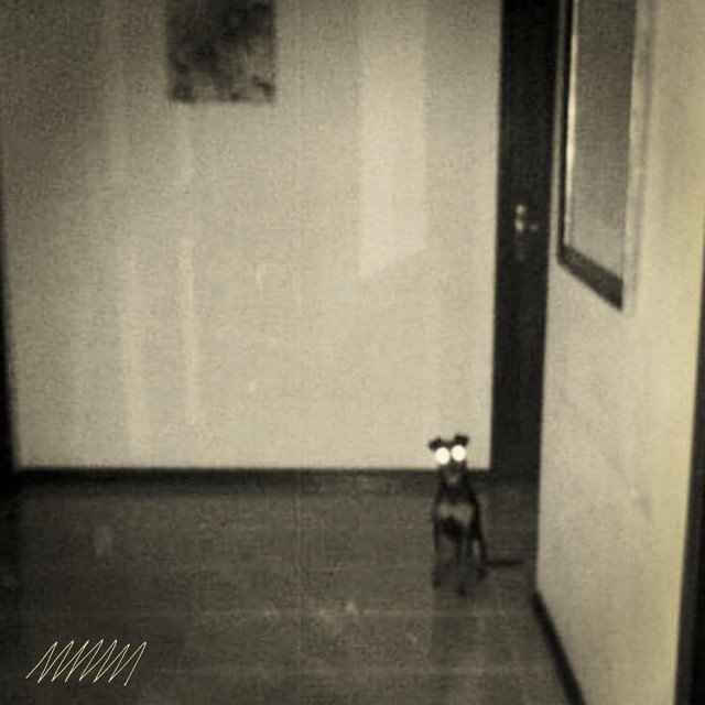 “Porco Fascista” do Manual de Intervenção entrega rock alternativo com atitude punk