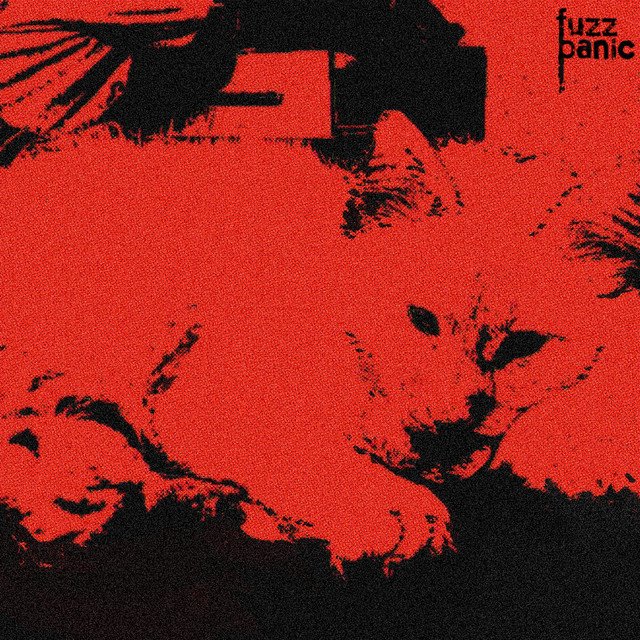 Sem progressão convencional, “Puma” de Armand Popa aposta na imersão e na intensidade