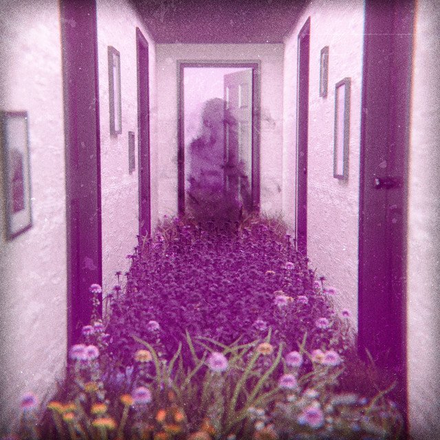 Featherweight encontra equilíbrio entre caos e melodia em “Hardship Always Brings A Friend”