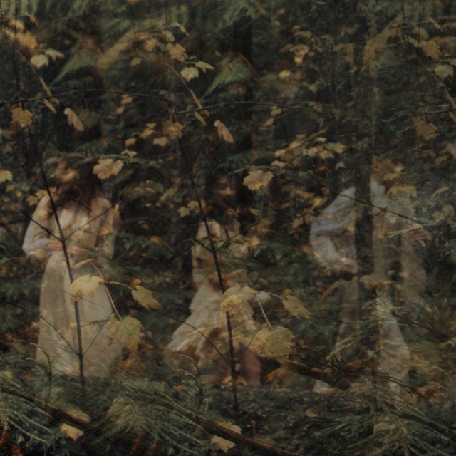 O emocionante Metal Progressivo de Freeze the Fall em “The Seed”