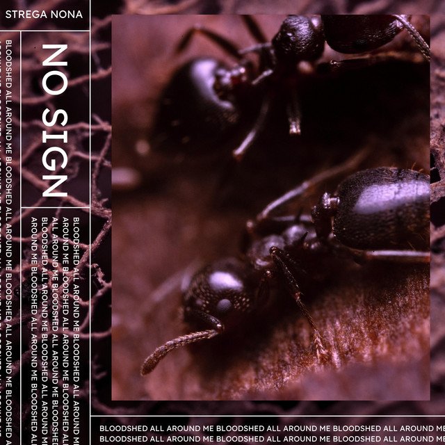 Strega Nona ressurge após hiato de quase 3 anos com o single “No Sign”