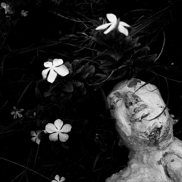 O Emo mostra resistência e relevância com o How to Care for Flowers.