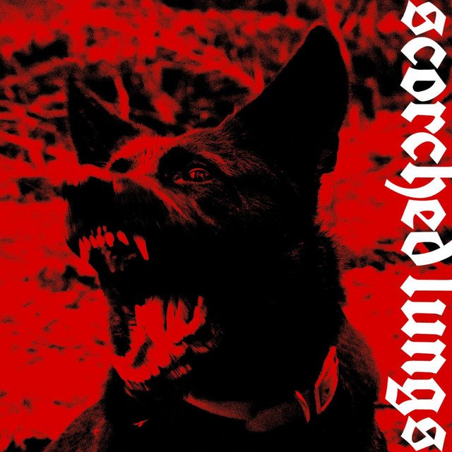 scorched lungs mostra força em seu primeiro single “puncture wounds”