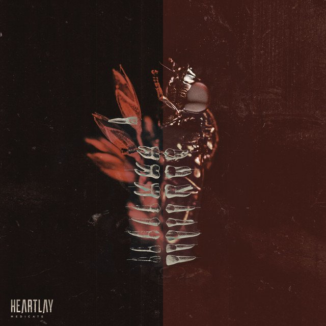 “Medicate” | Riffs densos e vocais agressivos marcam o novo som do Heartlay