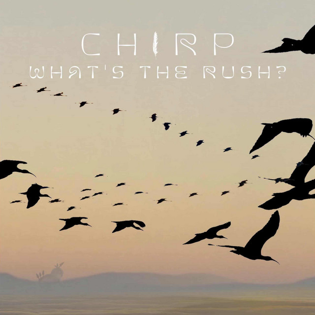 Chirp traz o Red Hot Chili Peppers oitentista na sua nova música de trabalho.